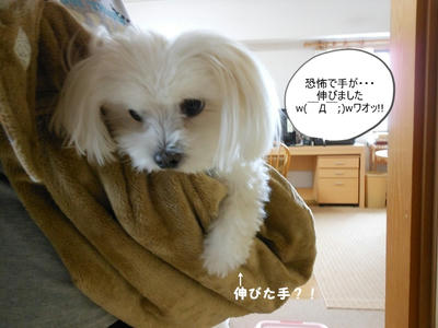 DSCN0618.jpg