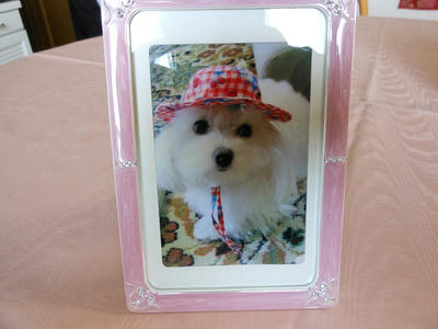 DSCN0735.jpg