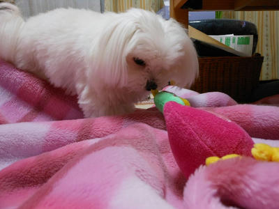 DSCN0629.jpg