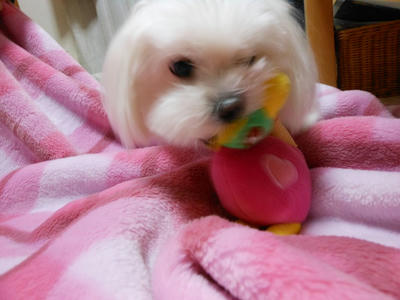 DSCN0630.jpg