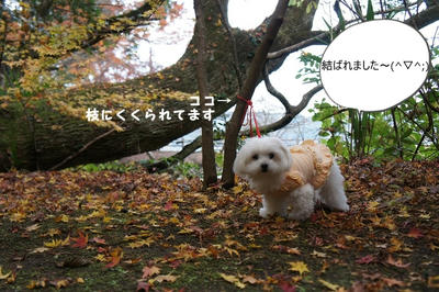DSC01457.jpg