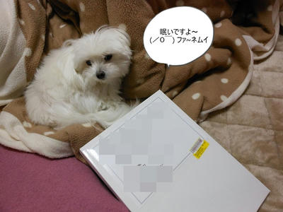 DSCN0801.jpg