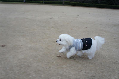 DSC01203.jpg