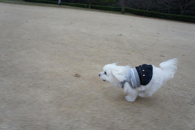 DSC01204.jpg