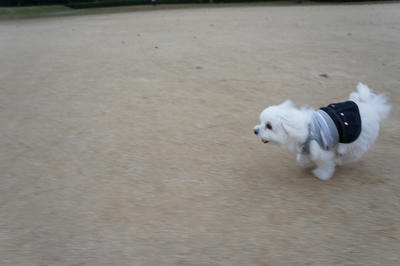 DSC01211.jpg
