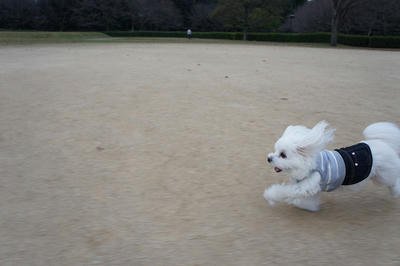 DSC01212.jpg