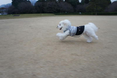 DSC01218.jpg