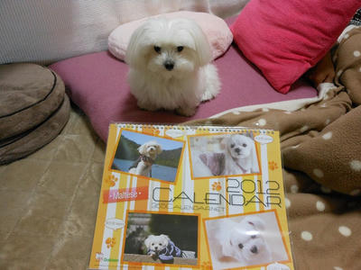 DSCN0831.jpg