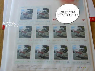 24d8e211.jpg
