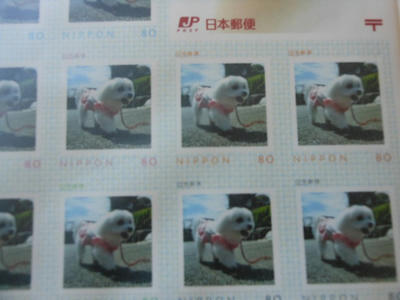 DSCN0842.jpg