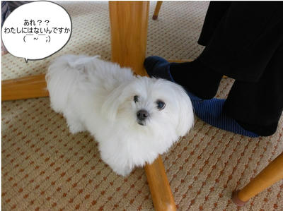 DSCN0843.jpg