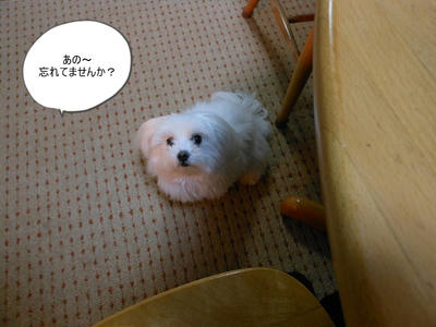 DSCN0849.jpg