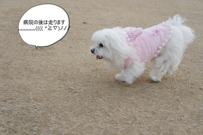 DSC01547.jpg