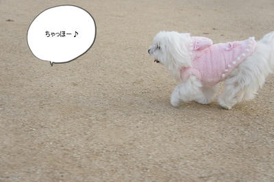 DSC01553.jpg