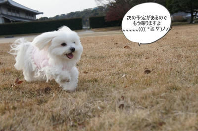 DSC01599.jpg