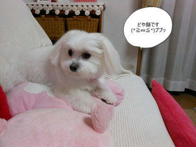 DSCN0876.jpg