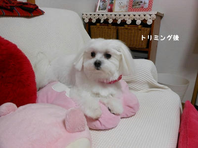 DSCN0877.jpg