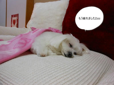 DSCN0889.jpg