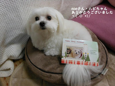 DSCN0901.jpg