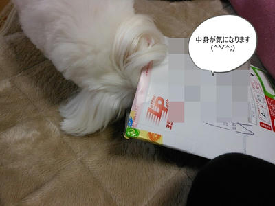 DSCN0911.jpg