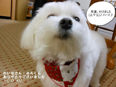 DSCN0916.jpg