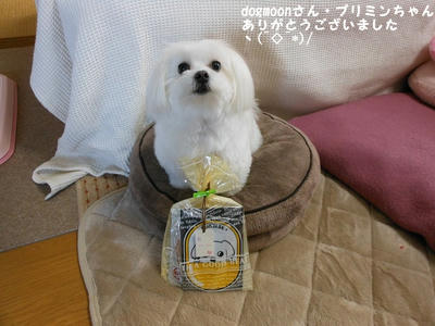 DSCN0922.jpg