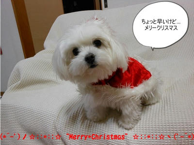 DSCN0699.jpg