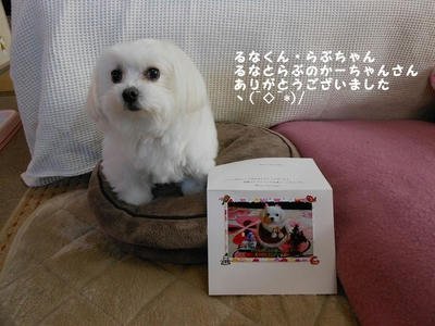 DSCN0934.jpg