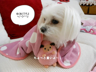 DSCN0967.jpg