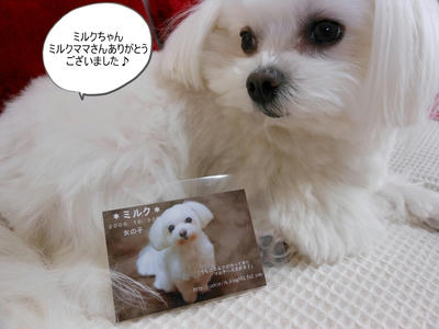 DSCN0970.jpg