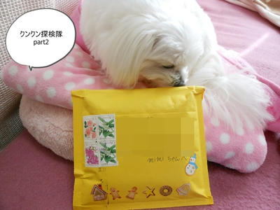 DSCN0982.jpg