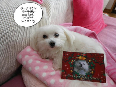 DSCN0988.jpg