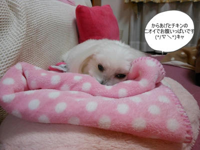 DSCN0929.jpg