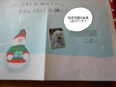 DSCN0997.jpg