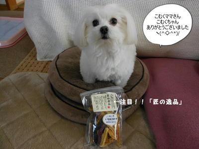 DSCN0999.jpg