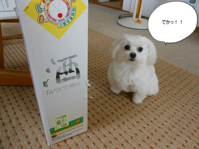 DSCN1006.jpg