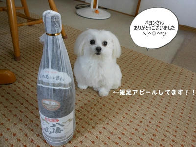 DSCN1015.jpg