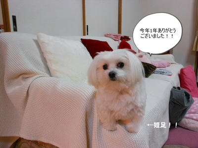 DSCN1019.jpg