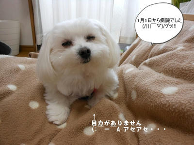 DSCN1060.jpg