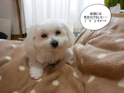 DSCN1063.jpg