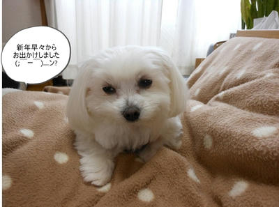 DSCN1066.jpg