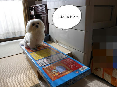 DSCN1092.jpg