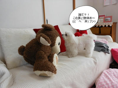 DSCN1112.jpg