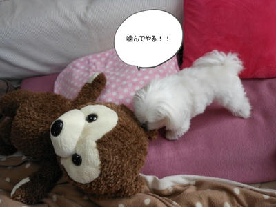 DSCN1121.jpg