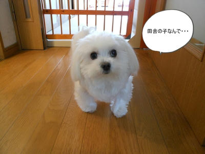 DSCN1104.jpg