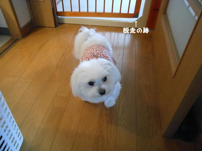 DSCN1107.jpg