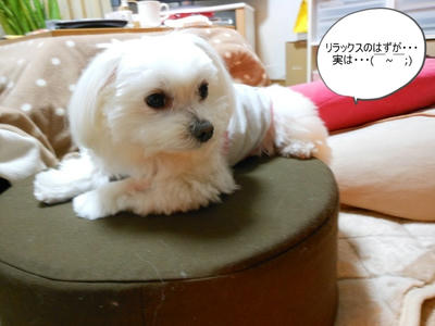 DSCN1050.jpg