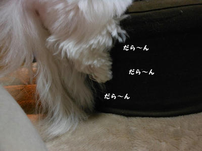 DSCN1047.jpg