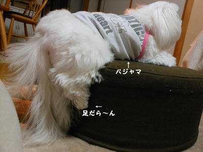DSCN1045.jpg