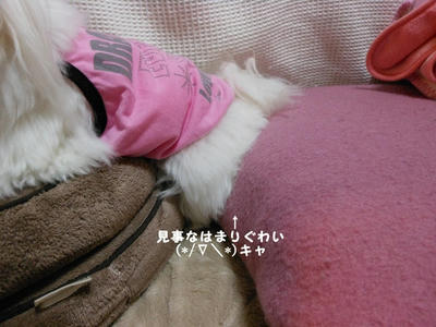 DSCN1165.jpg